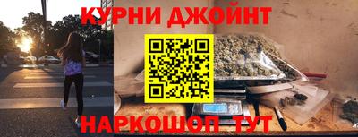 эйфоретик Кингисепп