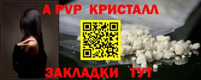 эйфоретик Кингисепп