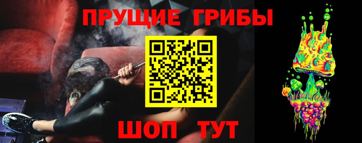 Псилоцибиновые грибы Psilocybe  Вход с VPN  Волгодонск 